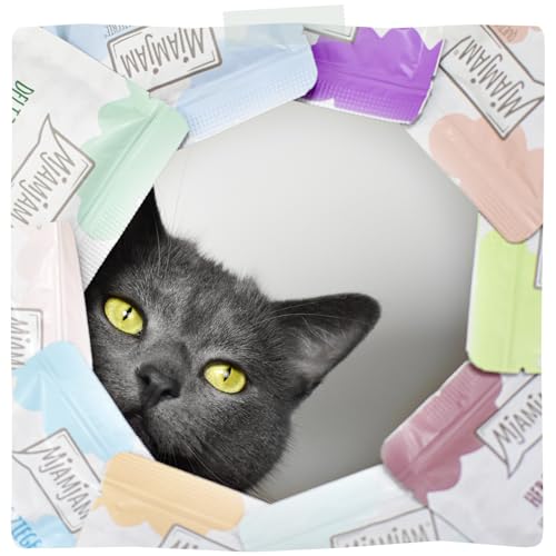 MjAMjAM - Premium Nassfutter für Katzen - Quetschie - DUO von vorzüglichem Kalb & Hering, 12er Pack (12x125g), getreidefrei