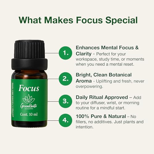 Aceite Esencial Focus Mezcla Romero, Menta y Limón 10 ml miniatura 2