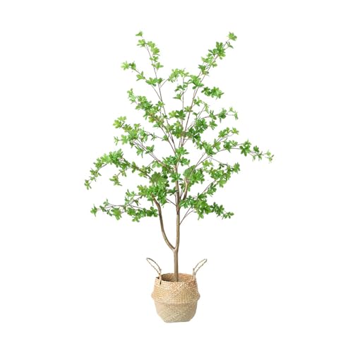 [LJKI] lHϗtA tFCNO[ ϗt  sv ͂Ȃ hE_ccW A z[fR[V tFCNc[ ^  O 180cm  rO[  ItBX̑ l炵  V _ i`