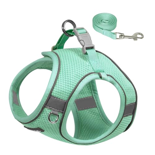 AIITLE Hundegeschirr und Leine, kein Ziehen, verstellbares Hundegeschirr mit gepolsterter Weste für jedes Wetter, reflektierendes Haustiergeschirr, einfach anzuziehen, Türkis, Größe S