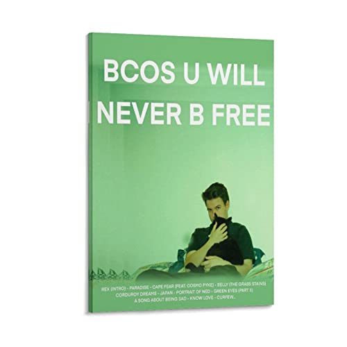 Poster Rex Orange County toile anti-pli deco murale durable salon et chambre 40x60 cm