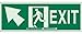 Brady 90788 Glow-In-The-Dark Plastic Glow-In-The-Dark Exit & Directional Sign, 5" X 14", Legend "Exit (with Picto)"