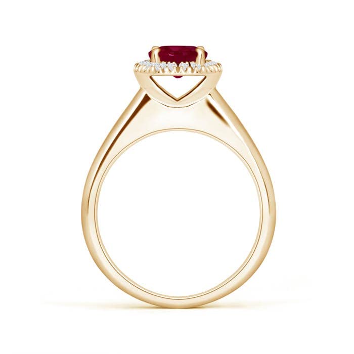 Angara Natural Ruby and Diamond Halo Ring for Women in 14K Solid Gold/Platinum | July Birthstone, Birthday, Engagement, Anniversary, Wedding Jewelry Gift for Women2