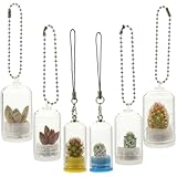 Tofficu 6 Stück Miniatur Glaspflanzgefäße als Schlüsselanhänger mit Lanyard Design Transparente Kleine Glasbehälter zur Dekoration und Pflege von Mikro Pflanzen Am Schlüsselbund