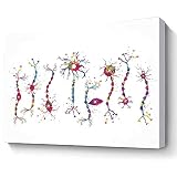 MBARE Neuron Types Watercolor Canvas