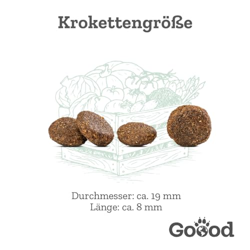 Goood Adult Veggie mit Erbse, Spinat und Sanddorn – Trockenfutter, Hundefutter – vegetarisch, getreidefrei, Alternative Proteinquelle, heimische Superfoods - für alle Rassen und Größen - 10kg