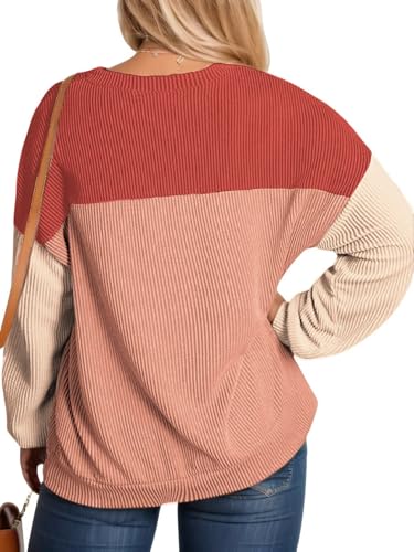 Image of DOLNINE Plus Size Tops for Women Long Sleeve Color Block Ribbed Knit Tunic