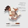 Enjoy The Wood 3D Wooden World Map for Wall - Wall Art Decor Travel Map with Pins Large Decorative Map of the World for Home, Office - Housewarming Gift for Travelers (2XL, Multicolored)