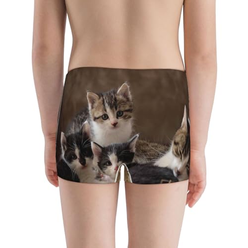 Boys' Cotton Boxer Brief Soft Underwear-Cat Family3