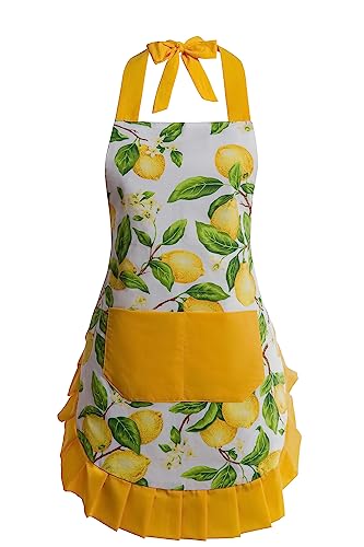 Alex Virtue Vintage Floral Apron for Women with...