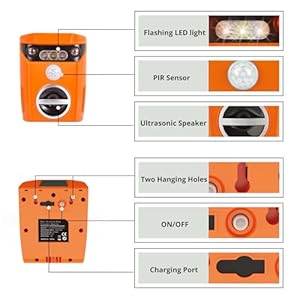 Solar Powered Deer Repellent Ultrasonic Outdoor Animals Repeller Away Device for Yard Such As Raccoons Deer Dogs Cats Foxes Skunk and More Waterproof  2 Pack  Cucciolini Doodles Solar powered deer repellent ultrasonic outdoor animals repeller away device for yard such as raccoons deer dogs cats foxes skunk and more waterproof  2 pack   cucciolini doodles