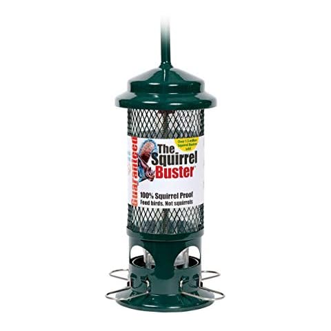 Jacobi Jayne SB-1057 Squirrel Proof Bird Feeder - Squirrel Buster - Marauders off! Guaranteed Squirrel and Large Bird Proof / Metal, Green Cover