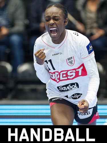 Brest Bretagne Handball - Gloria Bistrita