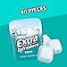Extra Extra Refreshers Chewing Gum, Polar Ice, 40 Count
