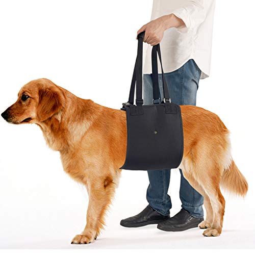 IN HAND Dog Support Harness, Dog Lift Harness with Adjustable Support Sling for Canine Aid, Helps Canine Arthritis, Rehabilitation, Poor Stability, Joint Injuries and Injured Dogs Walk