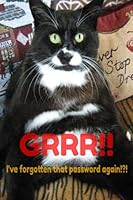 GRRR!! I've forgotten that password again!?! B09BGPD3CB Book Cover