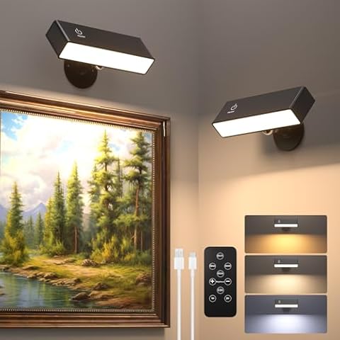 DetarZinLED 2 Remote Control Wall Sconces and 2 Rechargeable Wall Sconces Cover