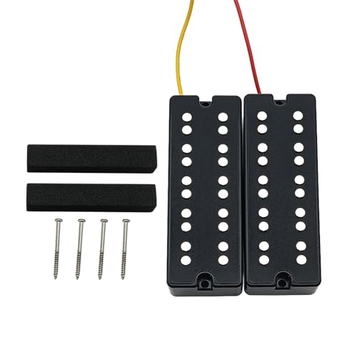 Micro Basse 5 Cordes Aimant Céramique idéal pour vos répétitions et scène