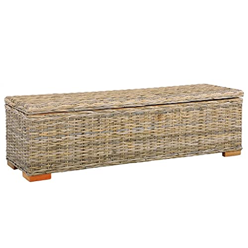 vidaXL Manguier Boîte de Rangement Coffre de Rangement Coffre de Stockage Banc de Couloir Banc d'Entrée Salon Maison 120 cm Rotin Naturel Kubu