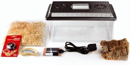 hatchling starter kit