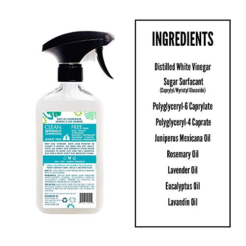 Aunt Fannie's Bathroom Cleaner Spray - All-Purpose Tub, Tile, Sink And Fixtures Vinegar Wash (Single) #TOP5
