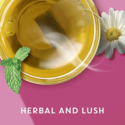 Tazo Calm Chamomile Herbal Tea Bags, Caffeine-Free Blend, 20 Tea Bags #TOP5