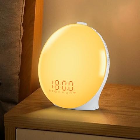 Zreal Sunrise Alarm Clock with FM Radio Cover