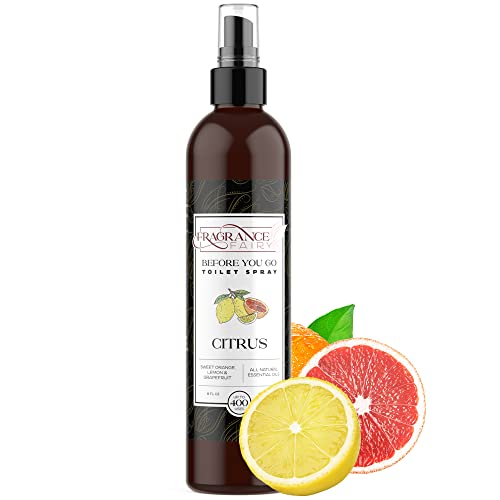 Before You Go (rtHAE[ES[) gCXv[ - 8IX VgX oX[tbVi[  gCL 񂿃Xv[ L - sɂ₳z Ki - QXgoX[