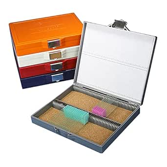 Globe Scientific 513079A – Slide Box For 100 Slides, Cork Lined, Gray - View #11