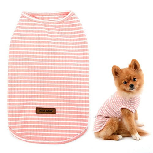 SMALLLEE_LUCKY_STORE   t {[_[TVc ^ ^ q m LhbOEFA킢ybgEѕی앞 h`UOoX̃Vc,5F
