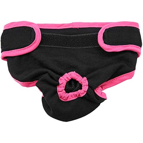 Pantalones fisiológicos para perros Cover