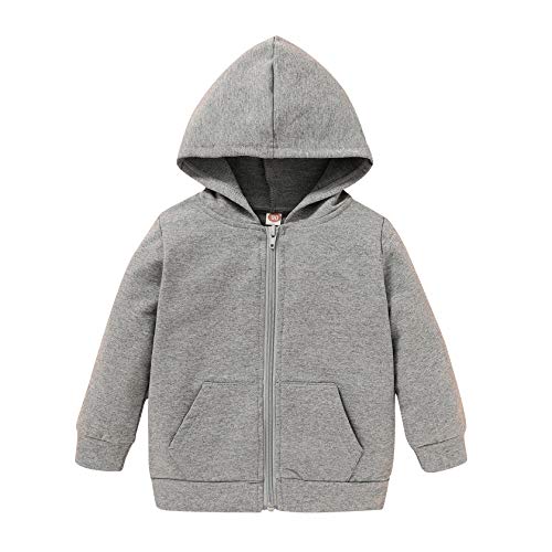 Toddler Boys Girls Hoodies Sweatshirt Casual Long Sleeve Pullover Sweater Hooded Jacket Tops Fall Winter Outfit Clothes (Grey, 1-2 Years)