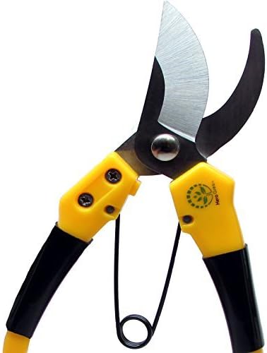 Hand Pruning Shears Nippers Best Pruners, Garden Shears, Bypass Pruners, Hand Pruners for Your Green Lawn, Grass, Hedges, Trees Care Stainless Steel Pruners Arthritis Friendly Design Sensitive Hands