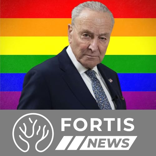Schumer Protects Pride Flag & Australia Rewards Thieves