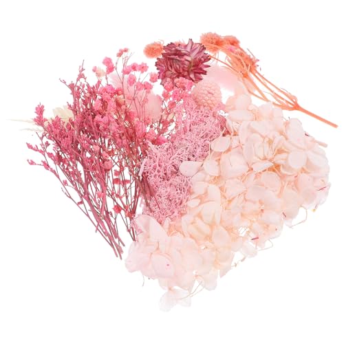 HOODANCOS hCt[ G{XHp ԍރZbg DIYNtgp pf tHgt[؂蔲 1Set