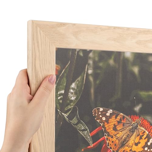 ArtToFrames 9x9 Inch White Picture Frame, This 1.75 Inch Custom Wood Poster Frame is Clear Stain - Comes with Foam Backing 3/16 inch and Regular Glass (FBPL82223-102-9x9)