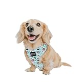 Sassy Woof Dog Adjustable Harness - Disney Princess Little Mermaid Ariel - XS, Breathable Mesh, No Pull Design with Two D-Rings, Perfect for Small Dogs and Puppies - Officially Licensed