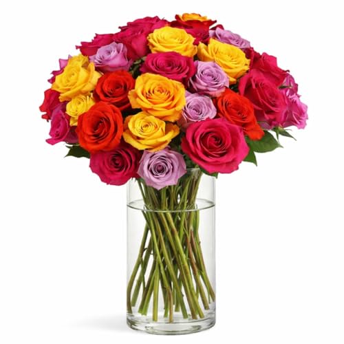 BloomsyBox MultiColored Real Roses Bouquet - Two Dozen Rainbow Roses, 25 Long Stems, Long Lasting & Hand-Tied Flower Arrangement, Farm Fresh Flowers Bouquet, Live Floral Arrangement for Gift | No Vase