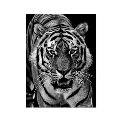Tableau decoration murale tigre noir et blanc 50x40cm pour séjour et bureau