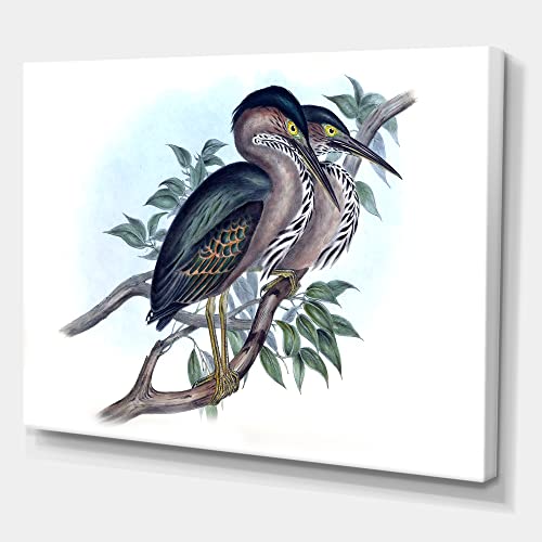 Oiseaux australiens vintage sur toile pour salon élégant par DesignQ