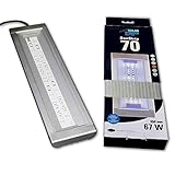 Spectre actinique complet 400 - 460 nm