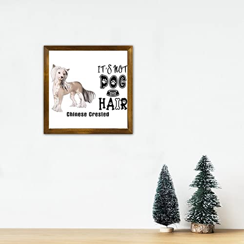 Cadre en bois It's Not Dog Hair Labrador, le cadeau idéal pour maîtres