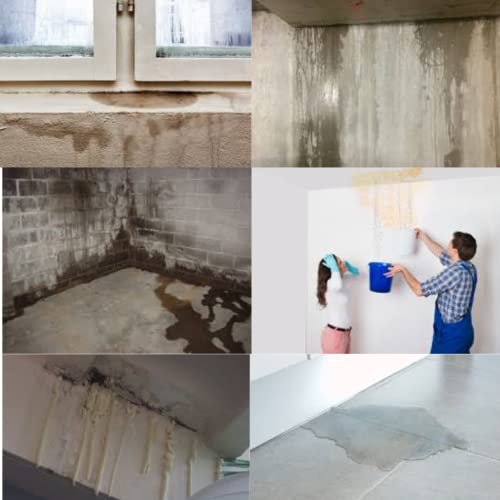 Image of JUST SEAL IT Instant Waterproofing and Repair CLEAR spray COMBO (Anti-corrosion) CLEAR spray PACK OF 2