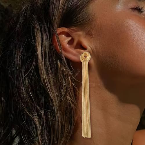 BriLove Fashion Long Chandelier Tassel Dangle Drop Earrings for Women Party Prom Accessories2