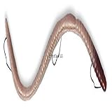 Ike-Con Wdls Real Night Crawler Pre Rigged Worm Bait, 8'