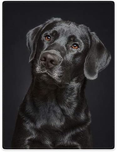 HommomH Black Lab Blanket, Gorgeous Labrador Dog Print, Soft Fluffy Fleece Throw 60"x80"