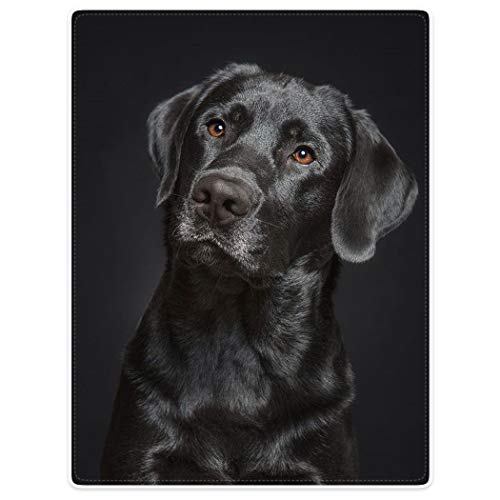 Hommomh Black Lab Blanket, Gorgeous Labrador Dog Print, Soft Fluffy Fleece Throw 60"X80" #TOP3