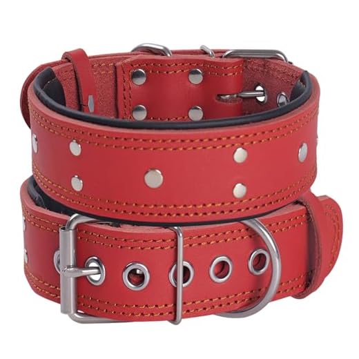 Collier pour Chien Clouté en Cuir, Rembourré Extra épais et Large de 5 cm, en Cuir Véritable Souple et Résistant, Très Robuste pour Les Chiens de Taille Moyenne, Grande et Très Grande (Rouge, L)
