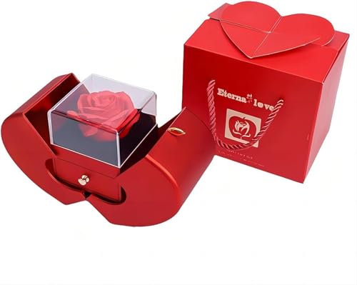BX - Regalo de rosa eterna preservada para mujeres, regalo de rosa para siempre con collar I Love You en 100 idiomas, regalos para ella, mamá, esposa, novia en cumpleaños, aniversario, día de San
