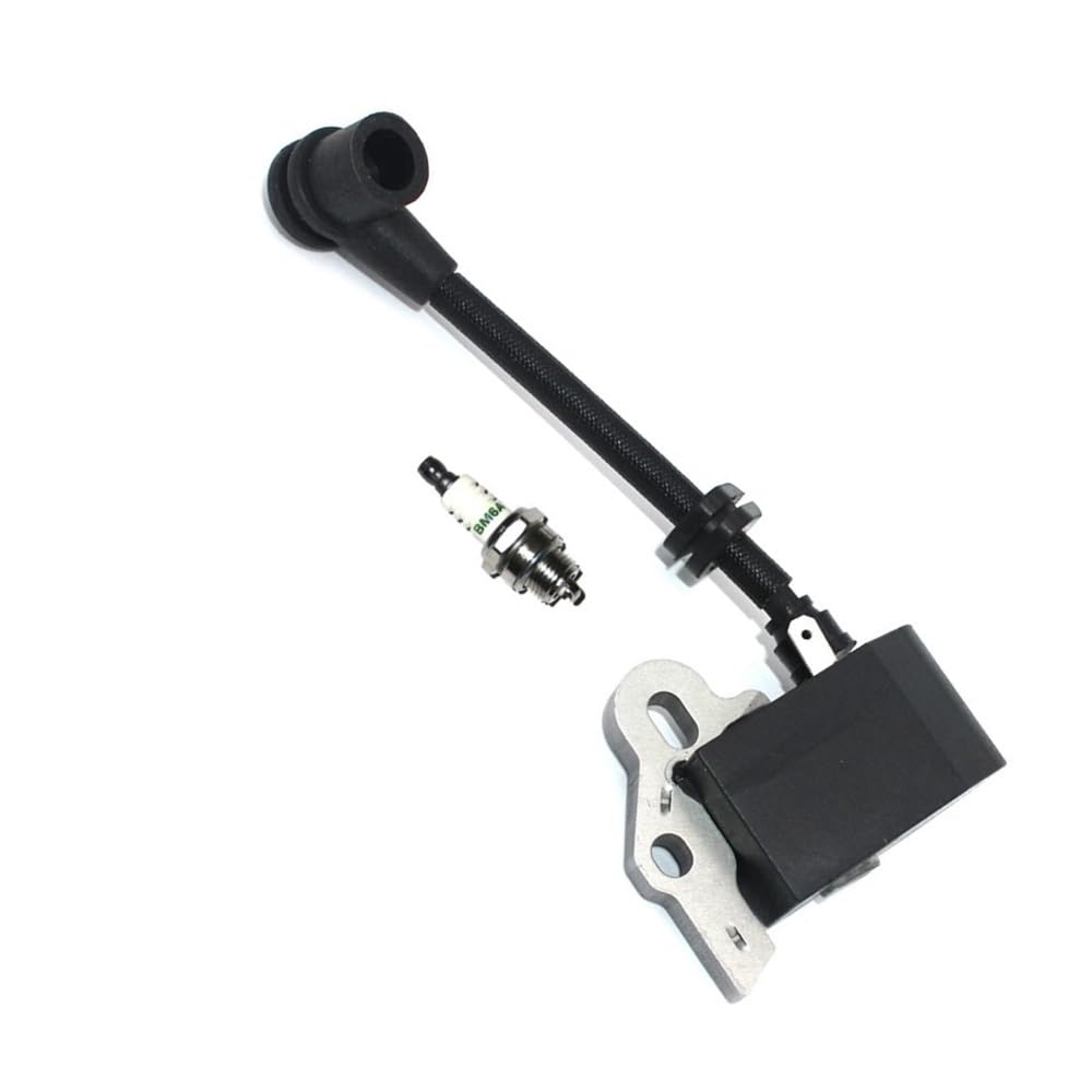 Bobine d'allumage 302138 : pièce de rechange moteur 219848-00